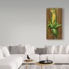 Trademark Fine Art Gigi Begin 'Ear Of Corn' Canvas Art, 12x24 ALI35249-C1224GG